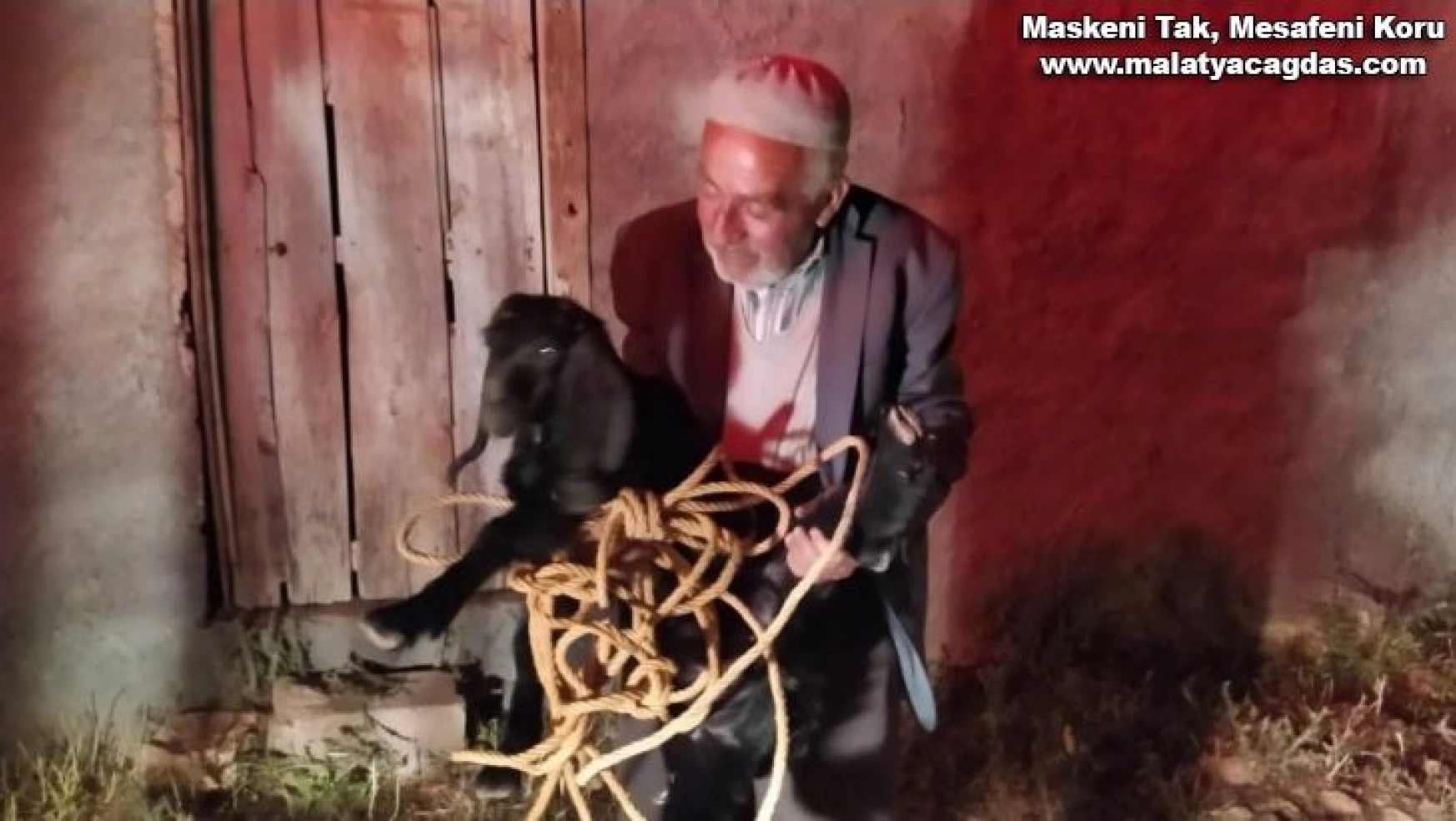 Şanlıurfa'da foseptik çukuruna düşen keçi kurtarıldı