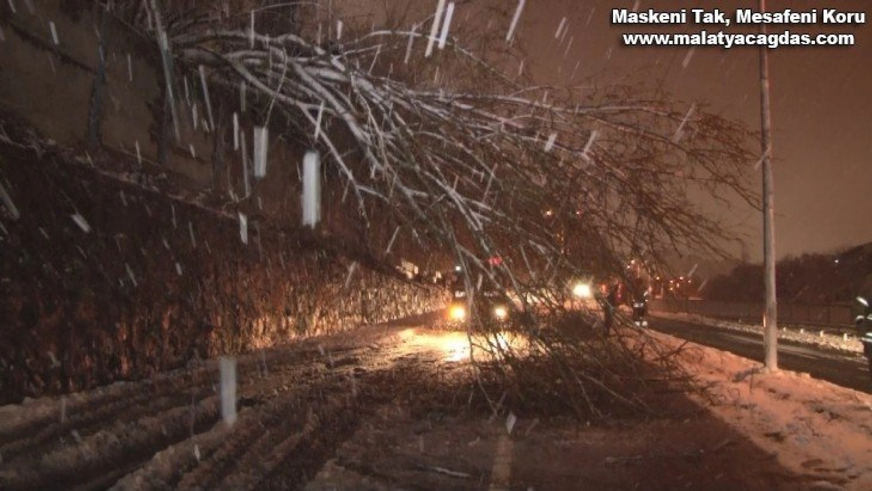 Sarıyer'de aşırı kar yağışı nedeniyle savrulan ağaç yola devrildi