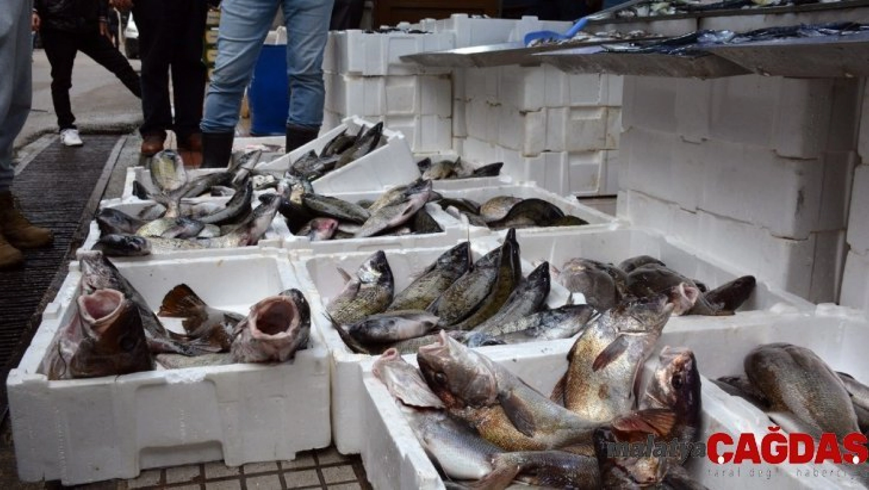Sinop'ta balık tezgahları şenlendi