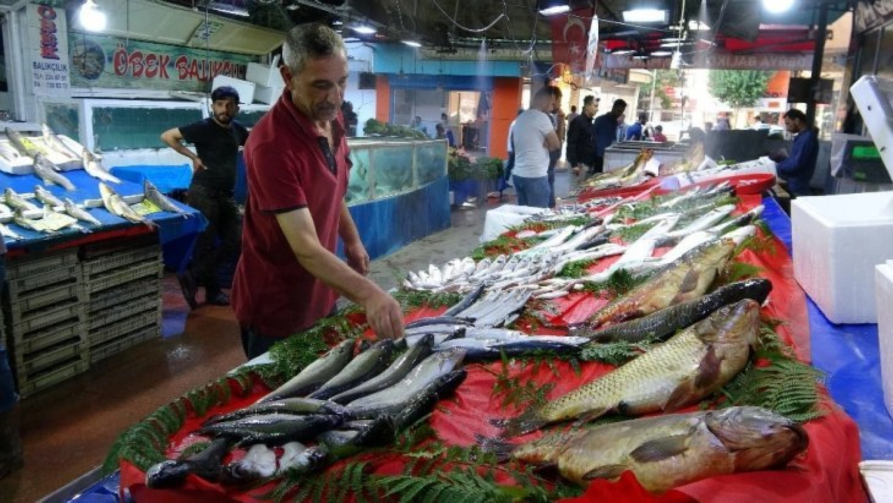 Tatlı su balıklarının rakibi, deniz balıkları Elazığ'da yerini aldı