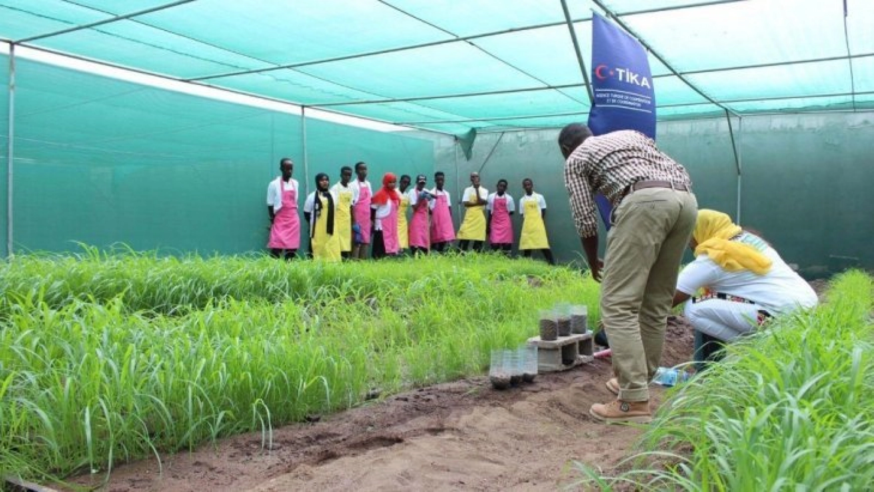 TİKA'dan, Cibuti'ye tarım desteği