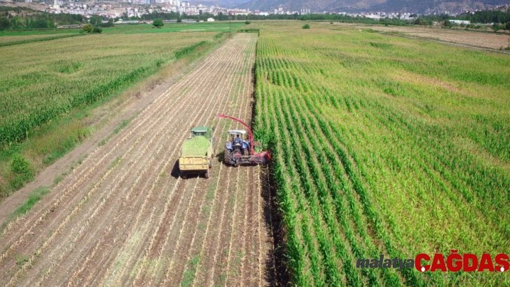 Tokat'ta 243 bin 490 dekar tarım arazisi sulandı