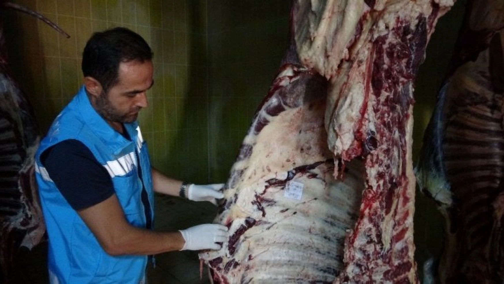 Tokat'ta 20 kurbanda bulaşıcı hastalık tespit edildi