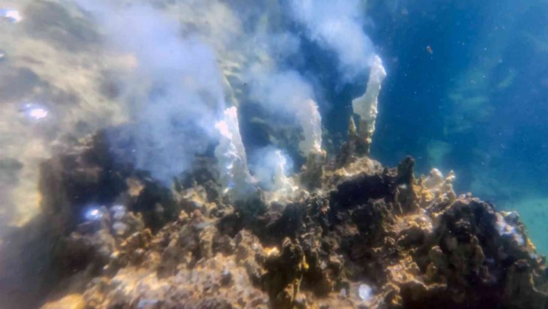 Van Gölü'nün derinliklerinde dumana benzer maden suyu çıkışları görüntülendi