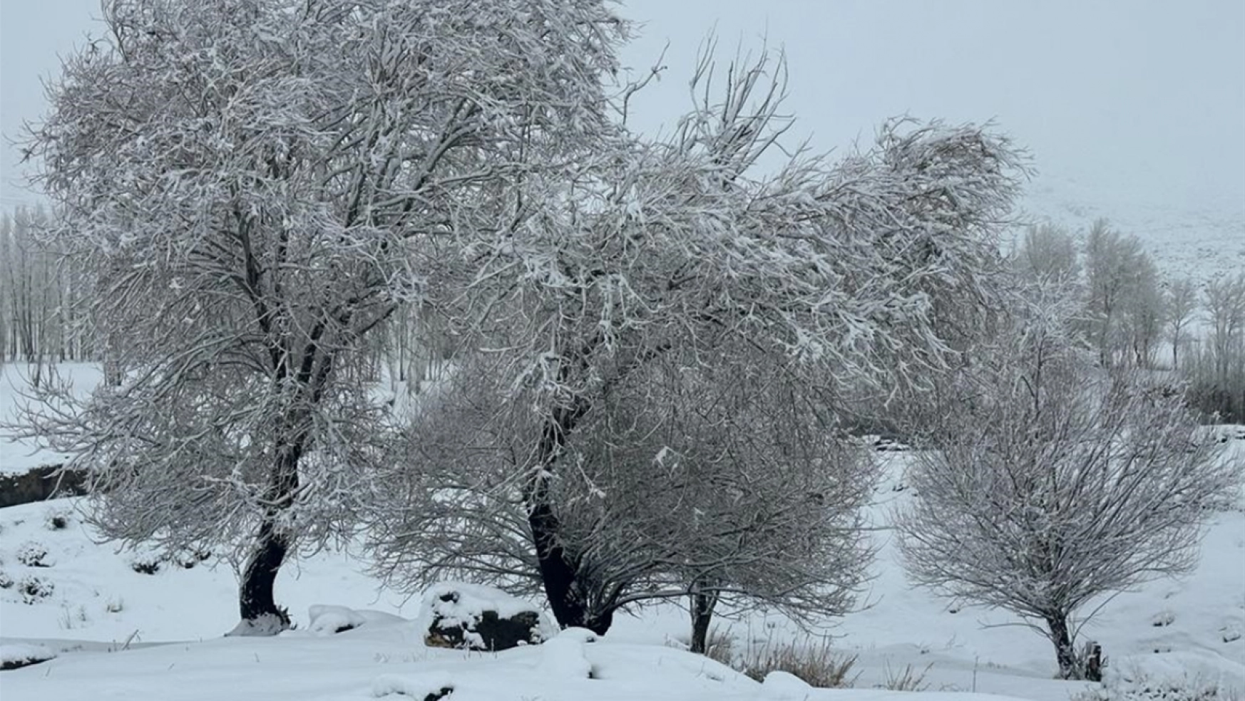 Van, Muş ve Hakkari'de kar nedeniyle 72 yerleşim birimine ulaşım sağlanamıyor