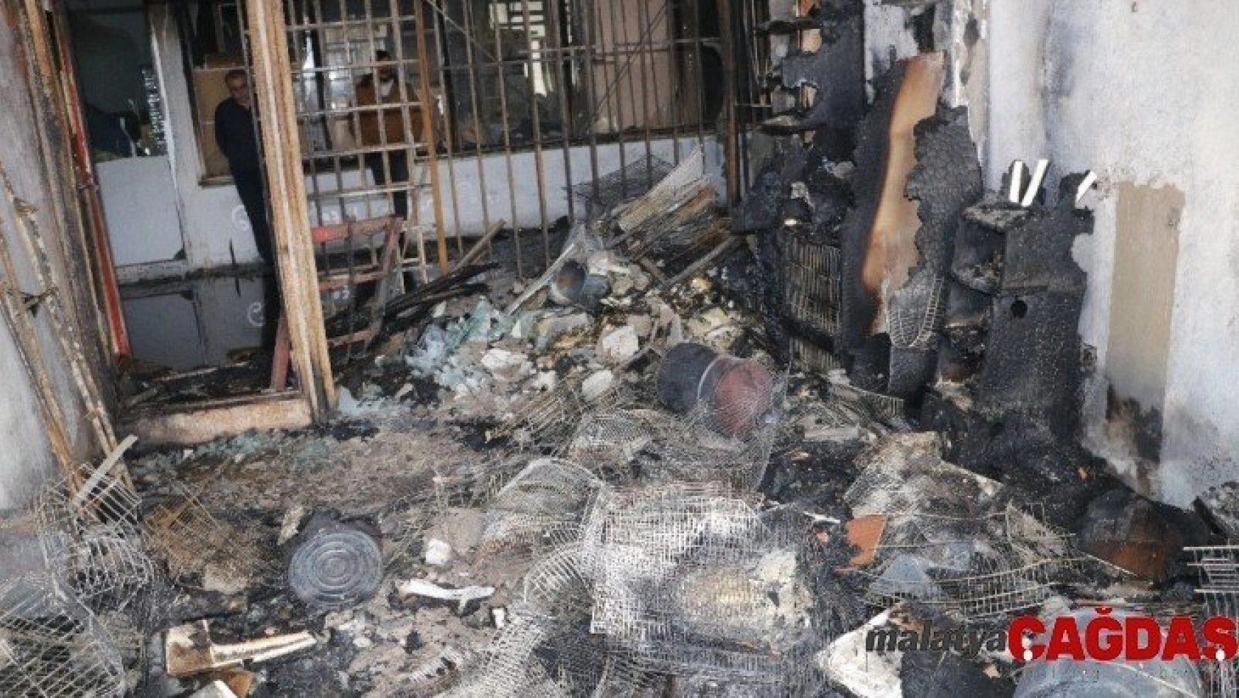 Yozgat'ta pet shopta yangın, çok sayıda hayvan telef oldu