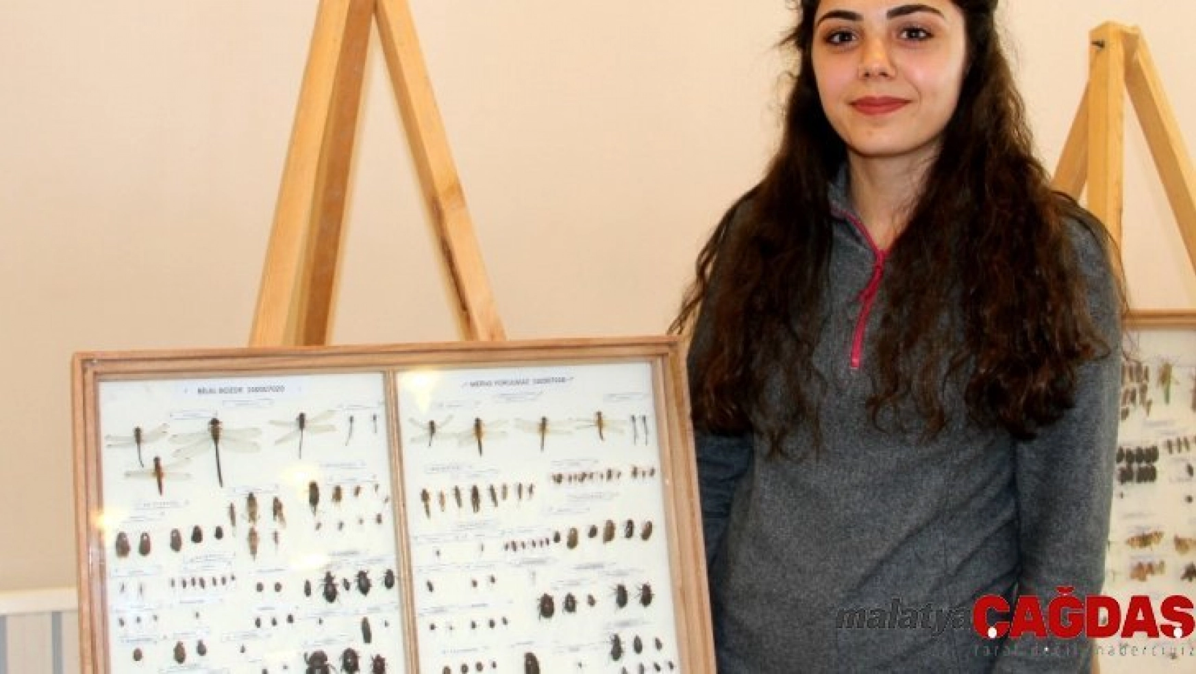 Yüzlerce türden 2 bin 500 adet böcek Erzurum'da sergileniyor