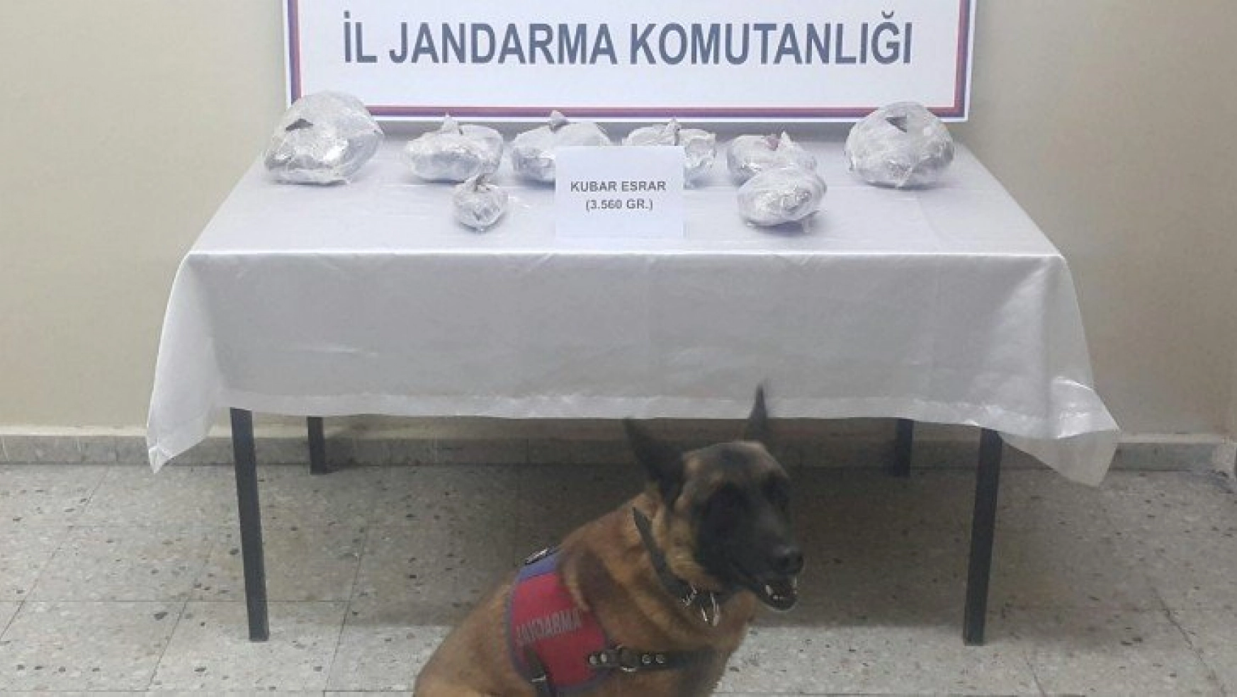 Zulada ki uyuşturucuyu Jandarma köpeği buldu