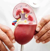 Böbrek hastalıkları her 7 kişiden birini tehdit ediyor