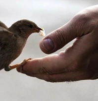Uzmanlara göre iyiliğin gerçek gücü niyette saklı