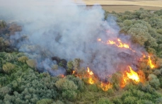 Ağrı'da ağaçlık alanda çıkan yangına müdahale ediliyor