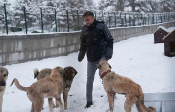 Battalgazi'de Malatya'nın ikinci hayvan barınağı hizmete başladı
