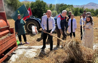 Doğanşehir'de Karabuğday Deneme Ekimi Başarılı Hasatla Sonuçlandı