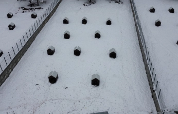 İkinci hayvan barınağı hizmete başladı