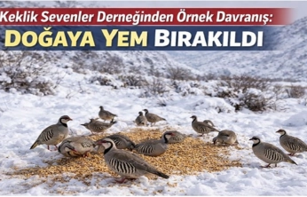Keklik Sevenler Derneğinden Örnek Davranış: Doğaya Yem Bırakıldı