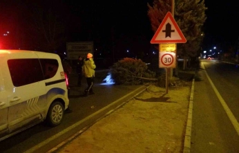 Fırtına ağaçları kökünden söktü