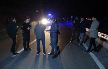 Kaçan yarış atları karayoluna çıktı: 6 at telef oldu, 2 kişi yaralandı