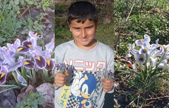 Malatya'da nevruz çiçekleri açtı