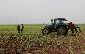 Tarımsal destekleme ödemeleri çiftçilerin hesaplarına aktarılacak
