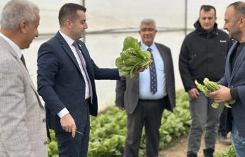 Yazıhan'da Öğrencilerden Örnek Tarım Çalışması: Serada Marul Hasadı