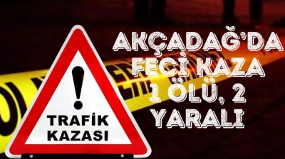 Akçadağ'da Feci Kaza: 2 Ölü, 2 Yaralı