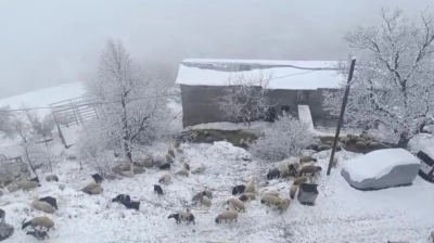Bahçesaray'da kar yağışı