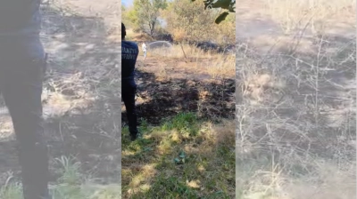 Boran Mahallesi'nde Kırsal Alanda Yangın Çıktı