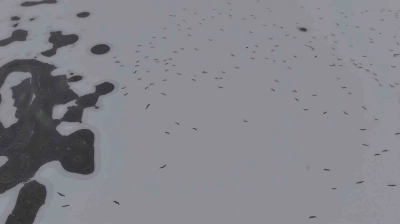 Cip Baraj Gölü buz tuttu