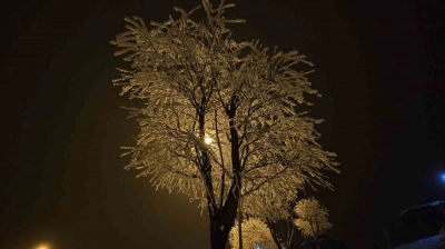 Elazığ'da ağaçlar kırağı tuttu
