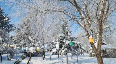 Elazığ'da dondurucu soğuklar: Karakoçan'da termometreler -22'yi gösterdi
