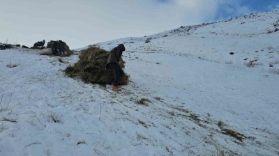 Erciş'te asırlık kış mesaisi: Otlar kızaklarla köye taşınıyor