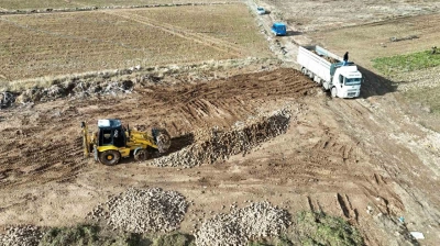 Yüksek verim çiftçinin yüzünü güldürdü