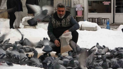 Kar sonrası güvercinlerden görsel şölen