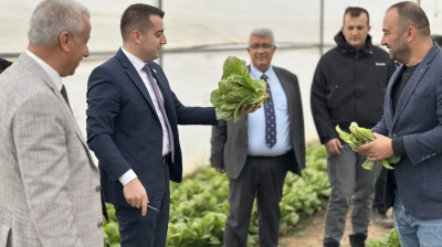 Yazıhan'da Öğrencilerden Örnek Tarım Çalışması: Serada Marul Hasadı