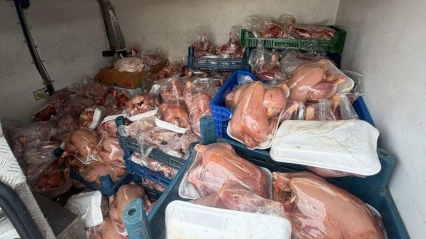 Van'da sağlık ve sevk belgeleri bulunmayan 200 tavuk ele geçirildi