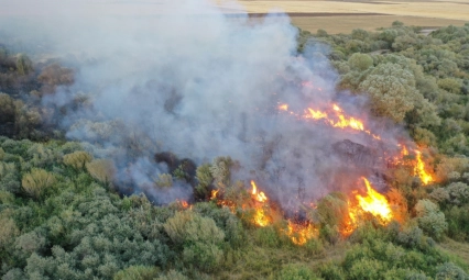 Ağrı'da ağaçlık alanda çıkan yangına müdahale ediliyor
