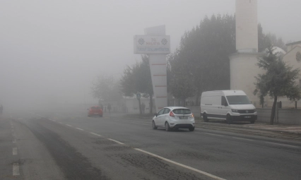 Malatya'da sis etkili oldu