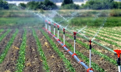 Tarımsal destekleme ödemeleri çiftçilerin hesaplarına aktarılıyor