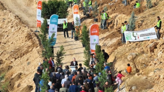 Depremlerde hayatını kaybeden 1237 kişinin anısına fidan dikildi