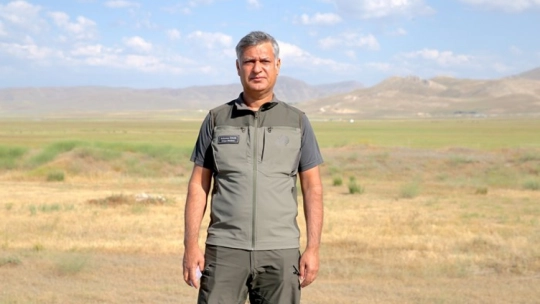 Tedavisi tamamlanan toy kuşu doğaya salındı