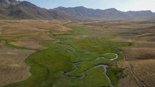 Serin Yayla Kaçamağı: Alandeşt'te Kamp Keyfi