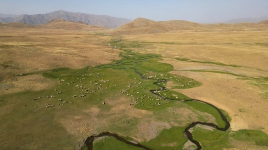 Serin Yayla Kaçamağı: Alandeşt'te Kamp Keyfi