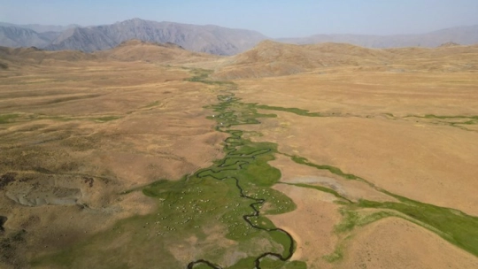 Serin Yayla Kaçamağı: Alandeşt'te Kamp Keyfi