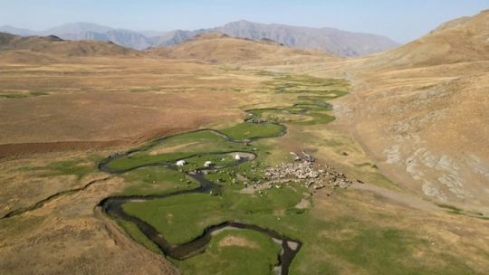 Serin Yayla Kaçamağı: Alandeşt'te Kamp Keyfi