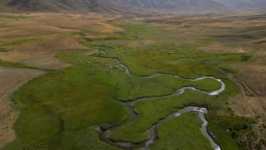 Serin Yayla Kaçamağı: Alandeşt'te Kamp Keyfi