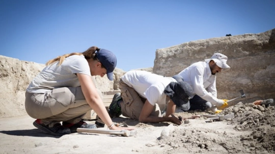 7 Bin Yıllık Arslantepe Höyüğü'nde Devletin İzleri