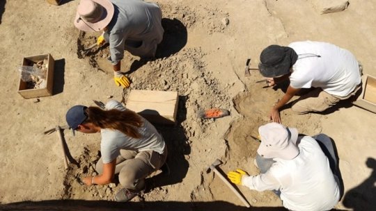 7 Bin Yıllık Arslantepe Höyüğü'nde Devletin İzleri