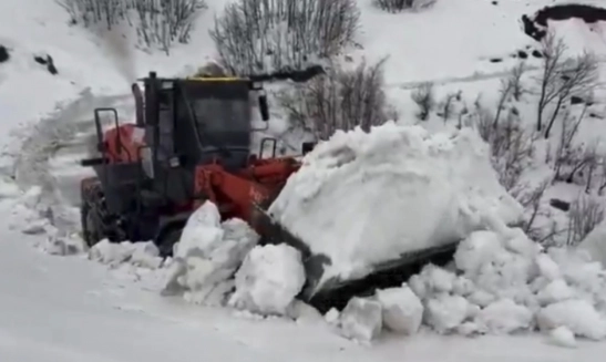 Yedisu'da kar kalınlığı 1 metreyi aştı, ekiplerin mücadelesi sürüyor
