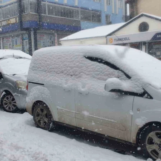 Başkale'de kar yağışı