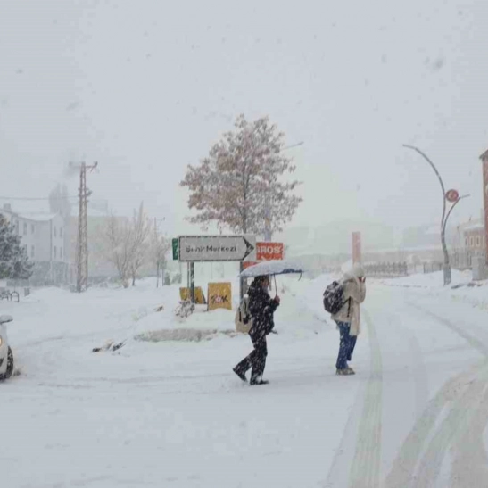 Başkale'de yoğun kar yağışı